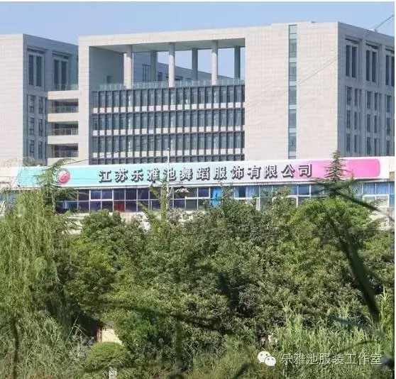 “乐雅池”杯全国体育舞蹈公开赛 暨睢宁国际标准舞大赛圆满结束(图36)