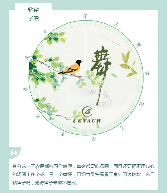春分