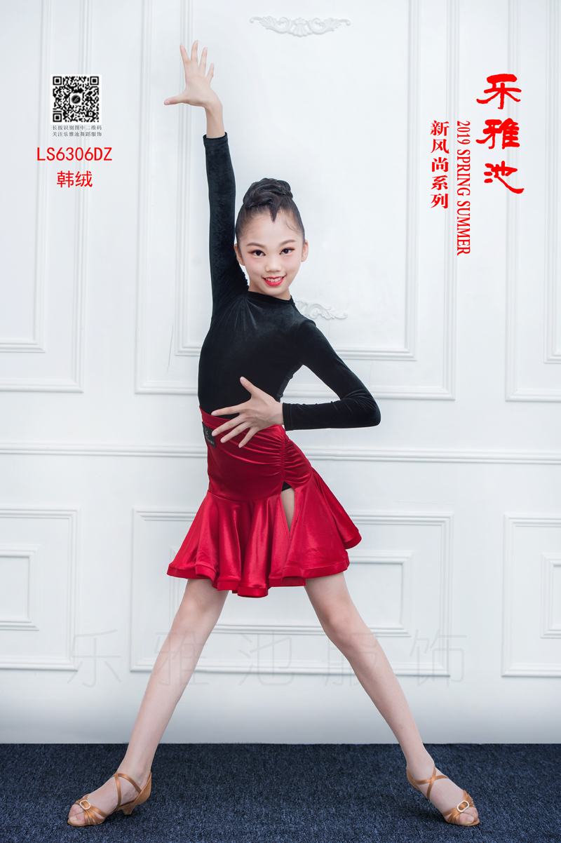 LS6306DZ(图1)