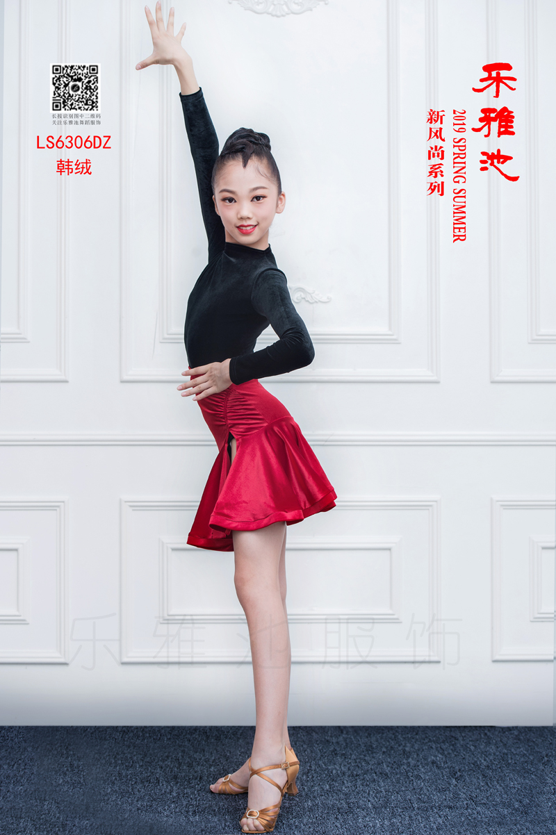 LS6306DZ(图3)