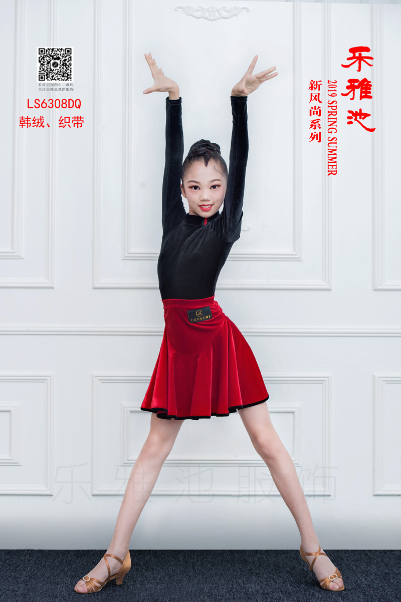 LS6308DZ(图1)