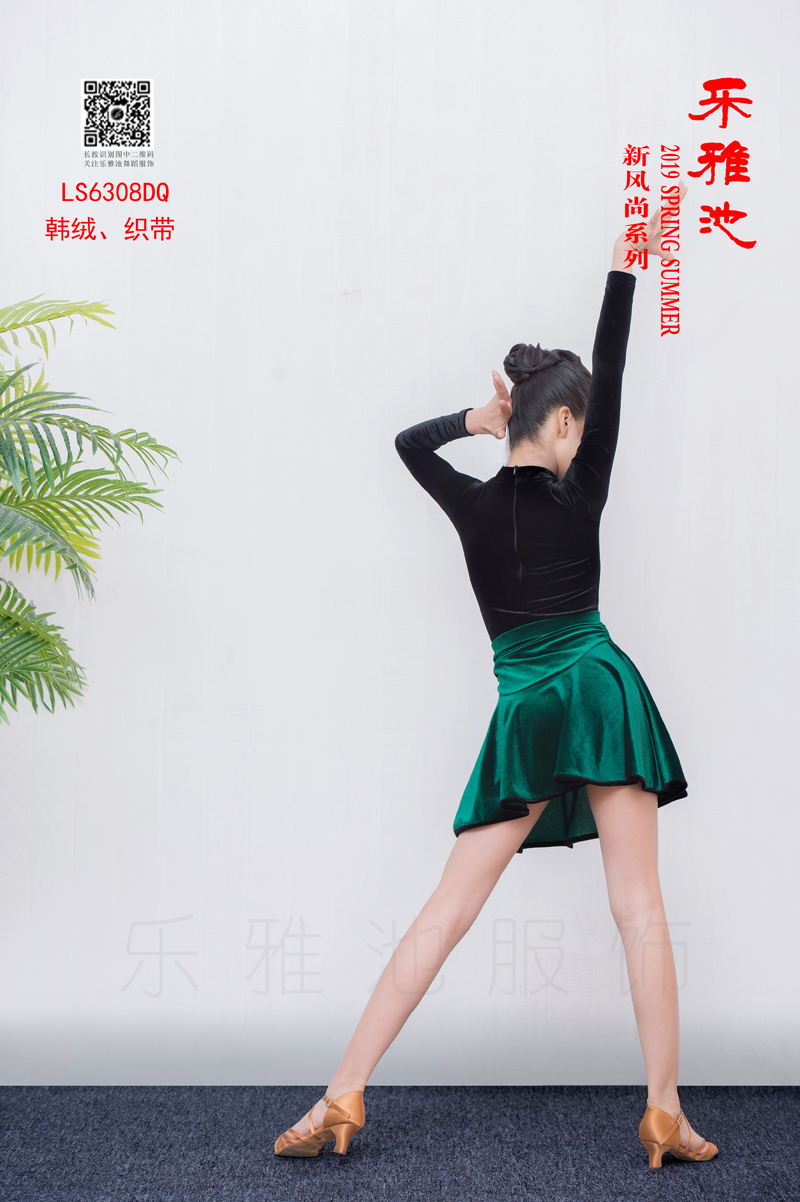 LS6308DZ(图5)