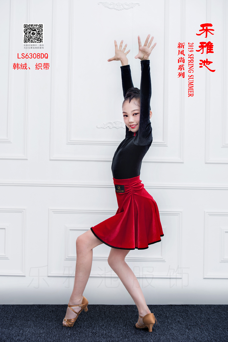 LS6311DZ(图3)