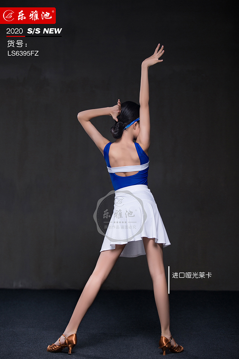 LS6395FZ(图3)