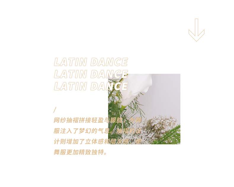 LW24342J(图2)