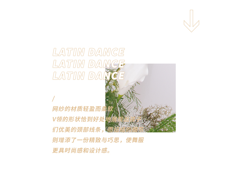 LW24301J(图2)