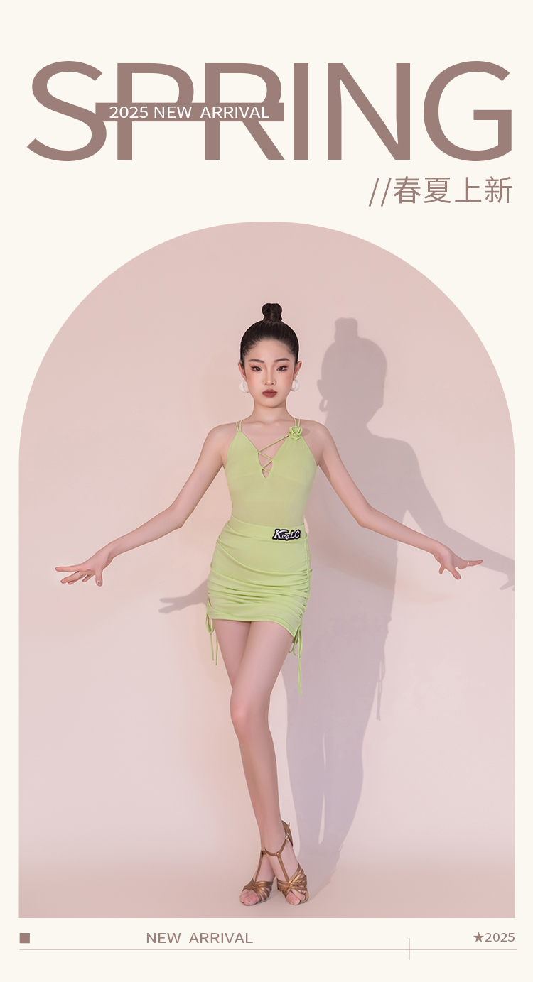 KS25385X(图1)