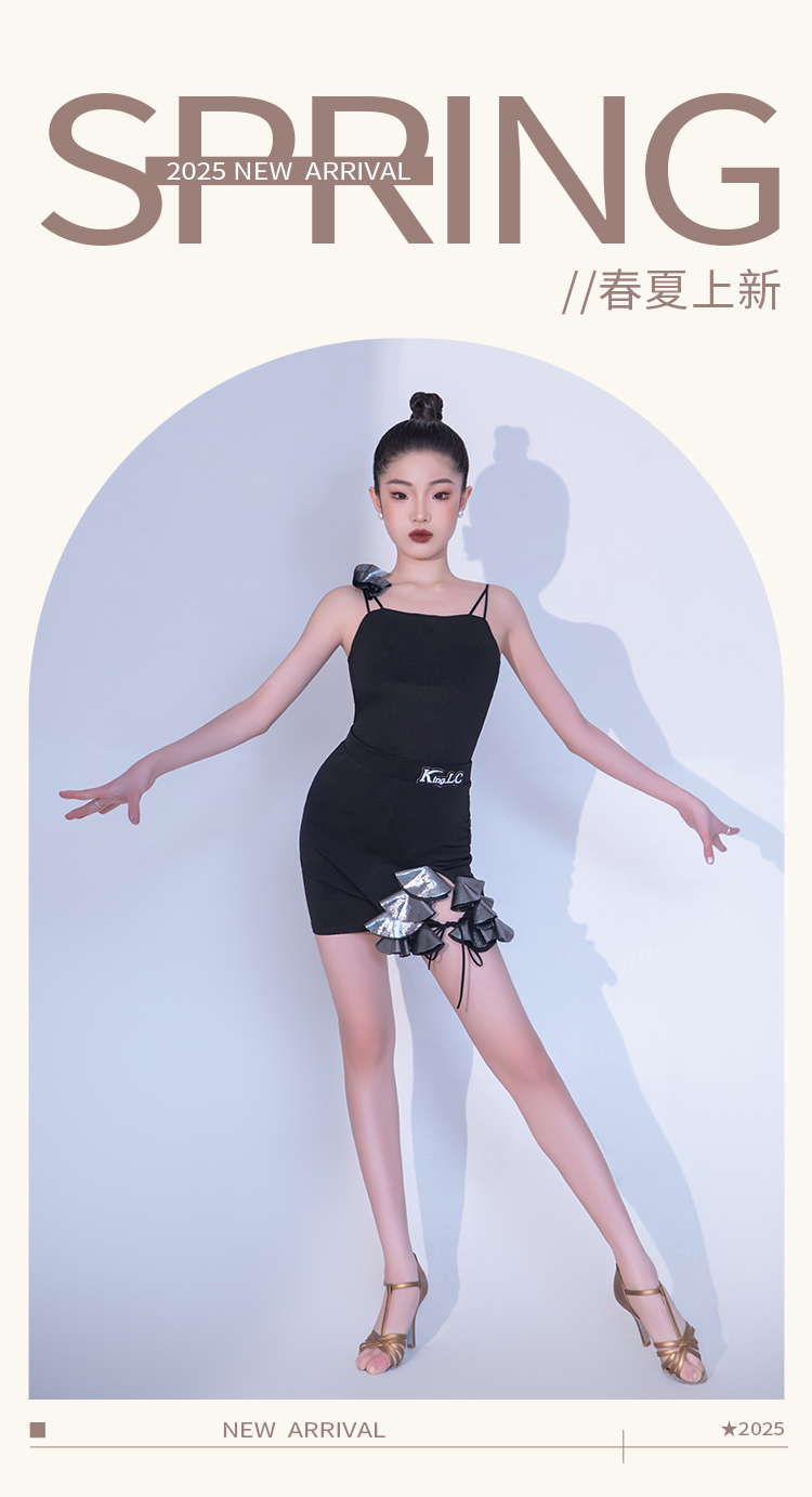 KS25386X(图1)